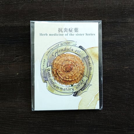 【医療系雑貨生みたて卵屋】修道女の薬瓶ラベル（10種）