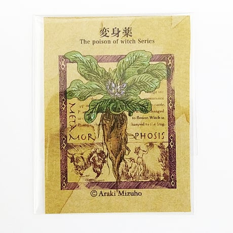 【医療系雑貨生みたて卵屋】魔女の毒薬ラベル(5種)