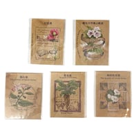 【医療系雑貨生みたて卵屋】魔女の毒薬ラベル(5種)