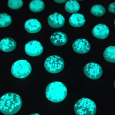 cattic/mint sky ring (glow in the dark)