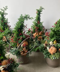 ミニクリスマスツリーM 送料込み