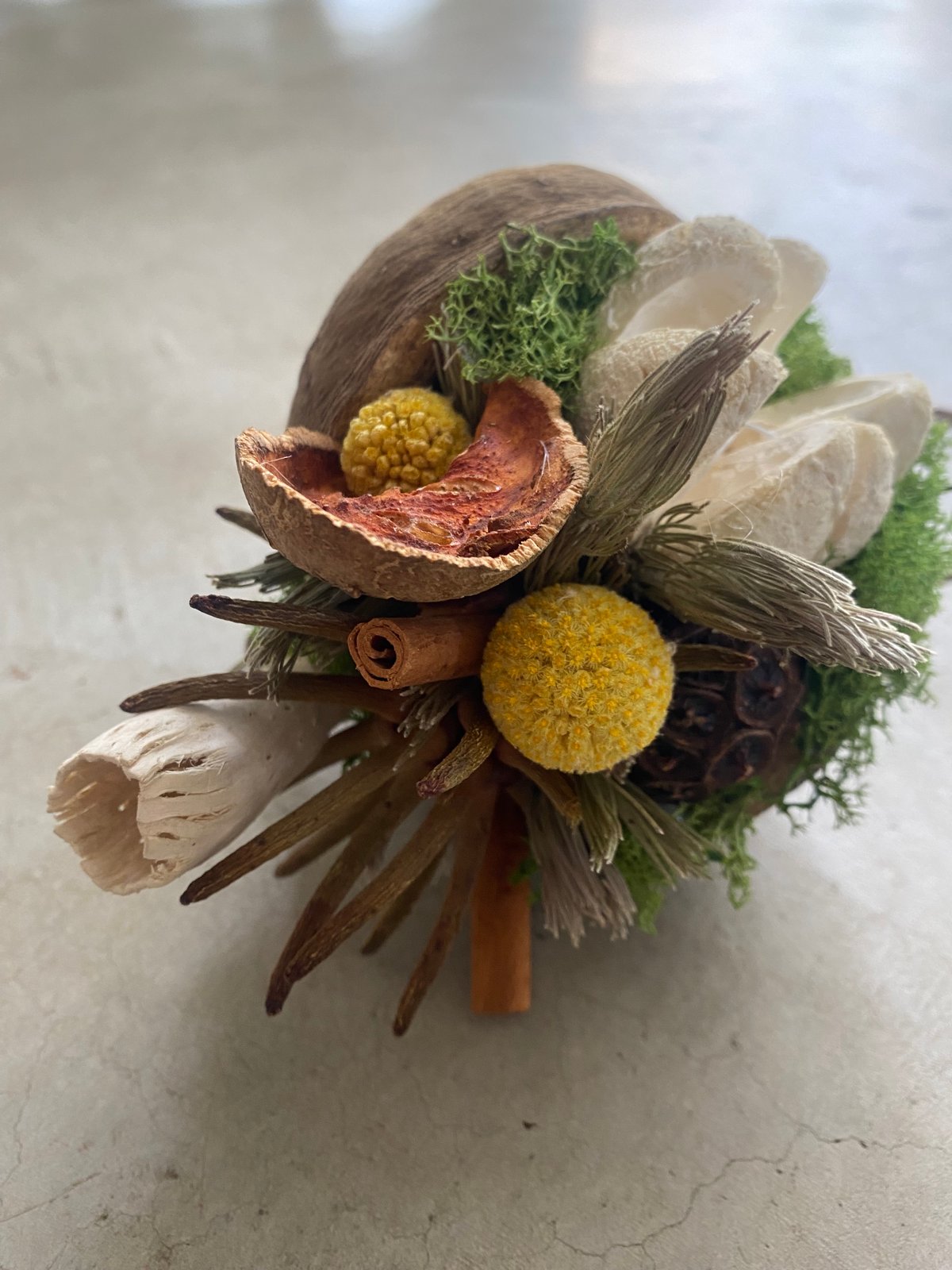 ブッダナッツの飾り◯ブラウンコットン ブッダナッツの飾り◯ブラウンコットン