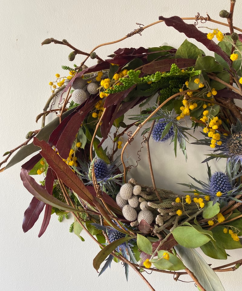 ミモザリース　ミモザの春待ちリース ミモザリース ミモザの春待ちリース ミモザの春待ちリース 送料込み