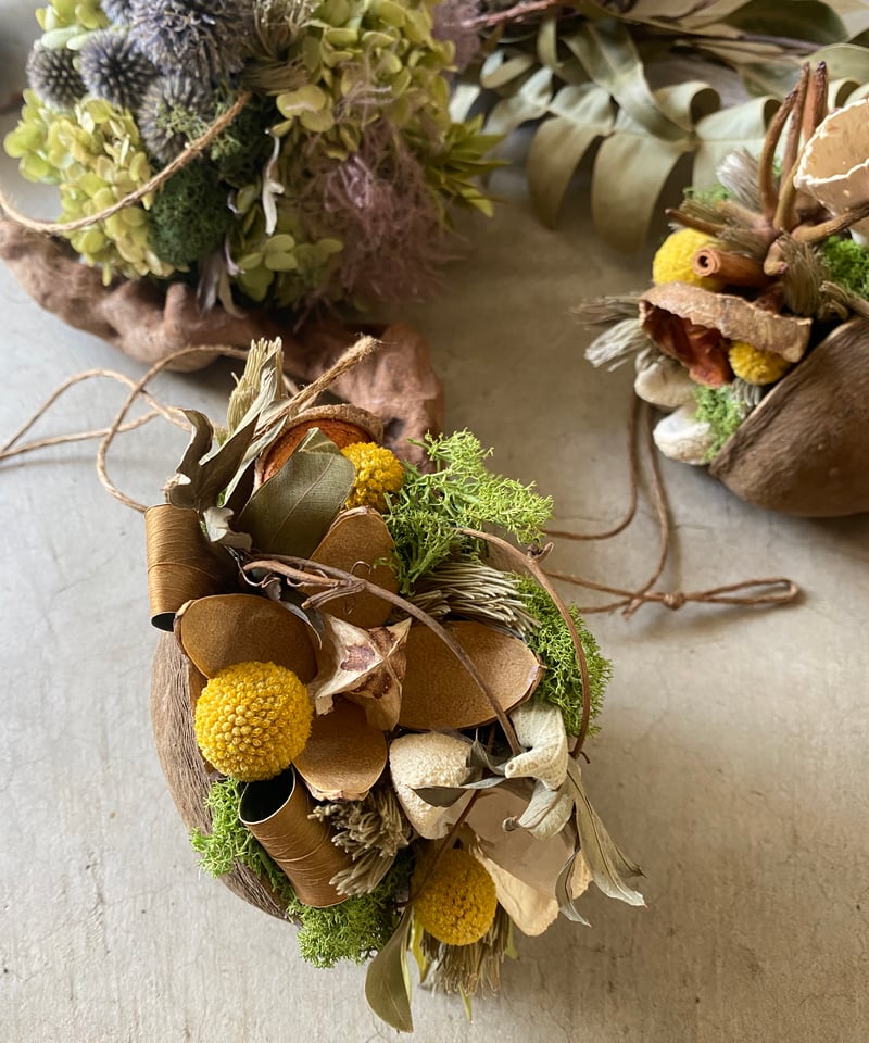 ブッダナッツの飾り 送料込み | 輪通販 