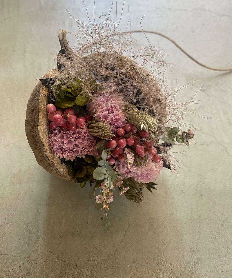 ブッダナッツの飾り(吊るし飾り) | 輪通販