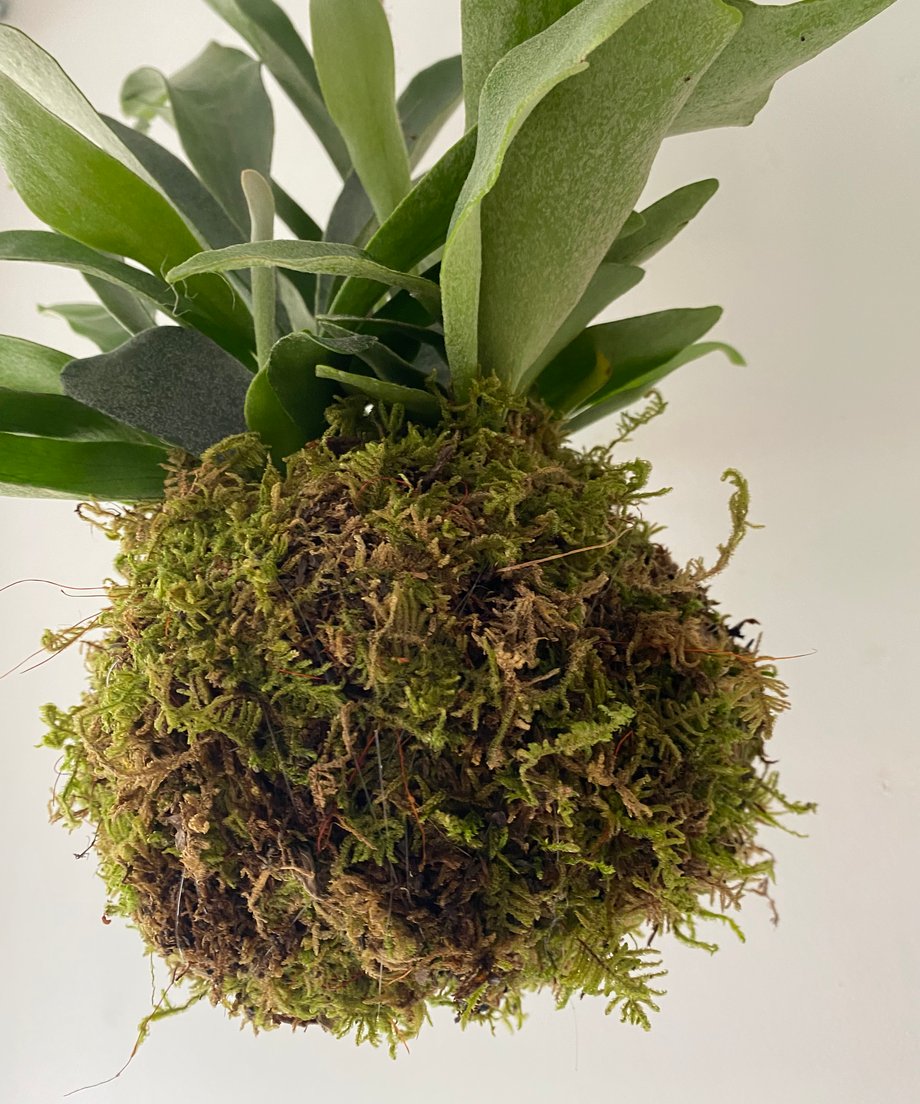 684bdaa099747d2d6a3a540b