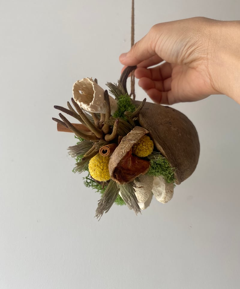 ブッダナッツの飾り◯ブラウンコットン