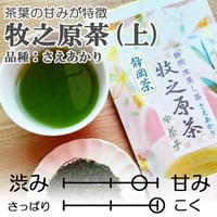 【2026年新茶】【茶葉の甘みが特徴】牧之原茶　品種：さえあかり（上）80ｇ