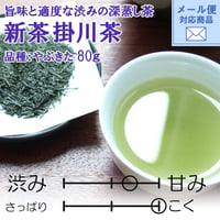 メール便対応 期間限定【2026年新茶】掛川茶　品種：やぶきた　80ｇ