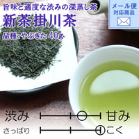 メール便対応 期間限定【2026年新茶】掛川茶　品種：やぶきた　40ｇ