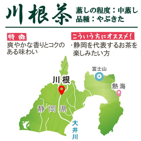 【2026年新茶】【静岡の茶処】爽やかな旨味　川根茶（並） 100ｇ