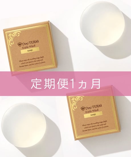 【定期便1ヵ月2点セット】ドクターム エクストラ ウォッシュ 100g
