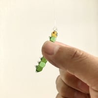 幼虫　caterpillar