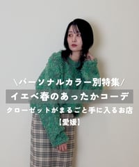 【イエベ春】着回しコーデ4点セット