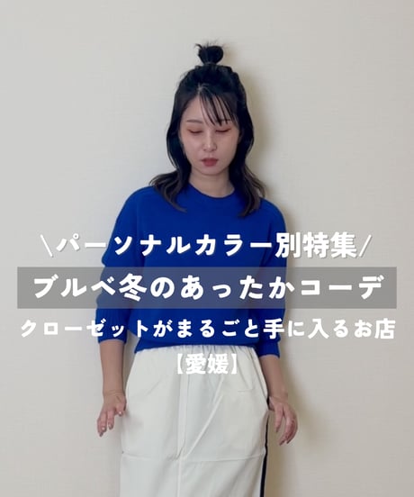 【ブルベ冬】着回しコーデ4点セット