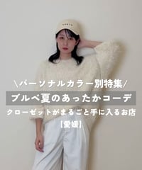 【ブルベ夏】着回しコーデ4点セット