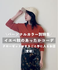 【イエベ秋】着回しコーデ4点セット