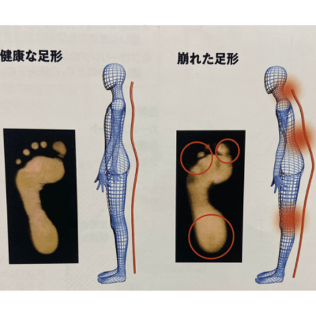 科捜研の女「足跡を見るな！足跡の持ち主を見ろ！」～あなたの足跡から持ち主を知る