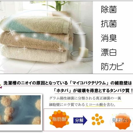 【洗濯革命！】洗濯用洗剤HOTAPA タブレット　3個入