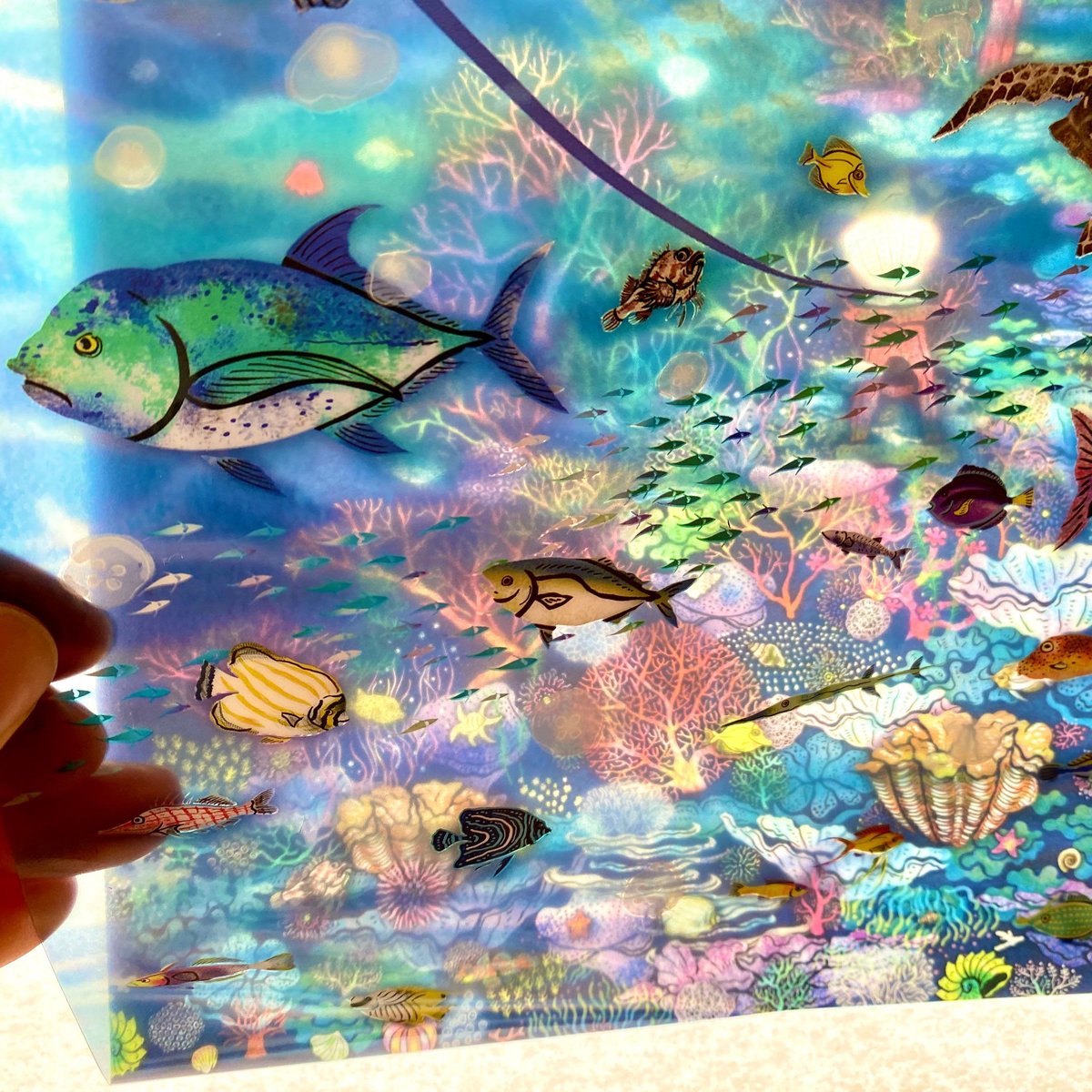 絵が変わるクリアファイル】龍宮への誘い|5枚組 | 光の切り絵STORE