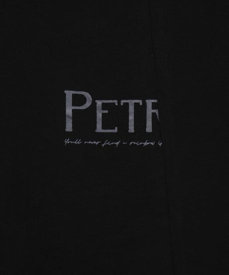 【ANTGAUGE】プリントTシャツ_250120000976