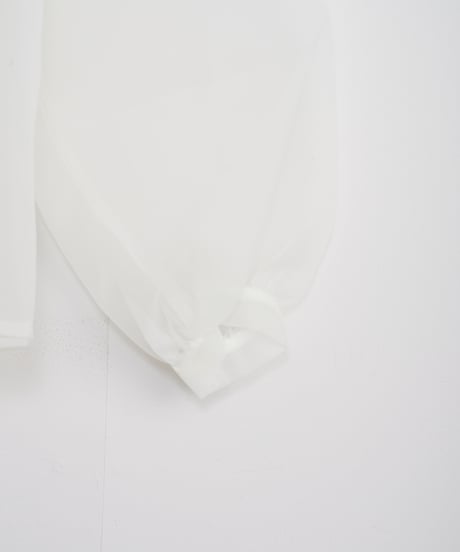 【AGAWD】Tulle Tops_231225004207