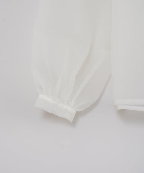 【AGAWD】Tulle Tops_231225004207