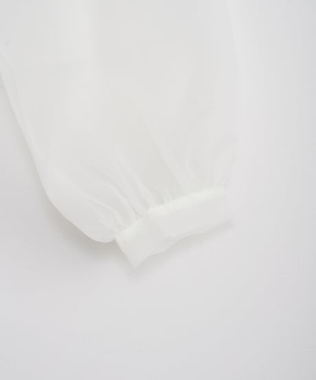 【AGAWD】Tulle Tops_231225004207