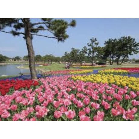 〜2021年5月〜光を見出して無邪気に遊ぶ in 海の中道〜