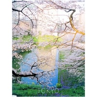 V.A " ROCKS No.7 - TOKYO - "