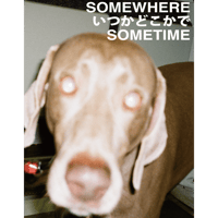 OLIVIA HESPEL OBREGON "SOME WHERE , SOME TIME"