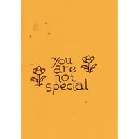 Casey jones   " You are not special "