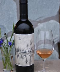 小川ヤマ・ソービニオン Blanc de Noirs 2024