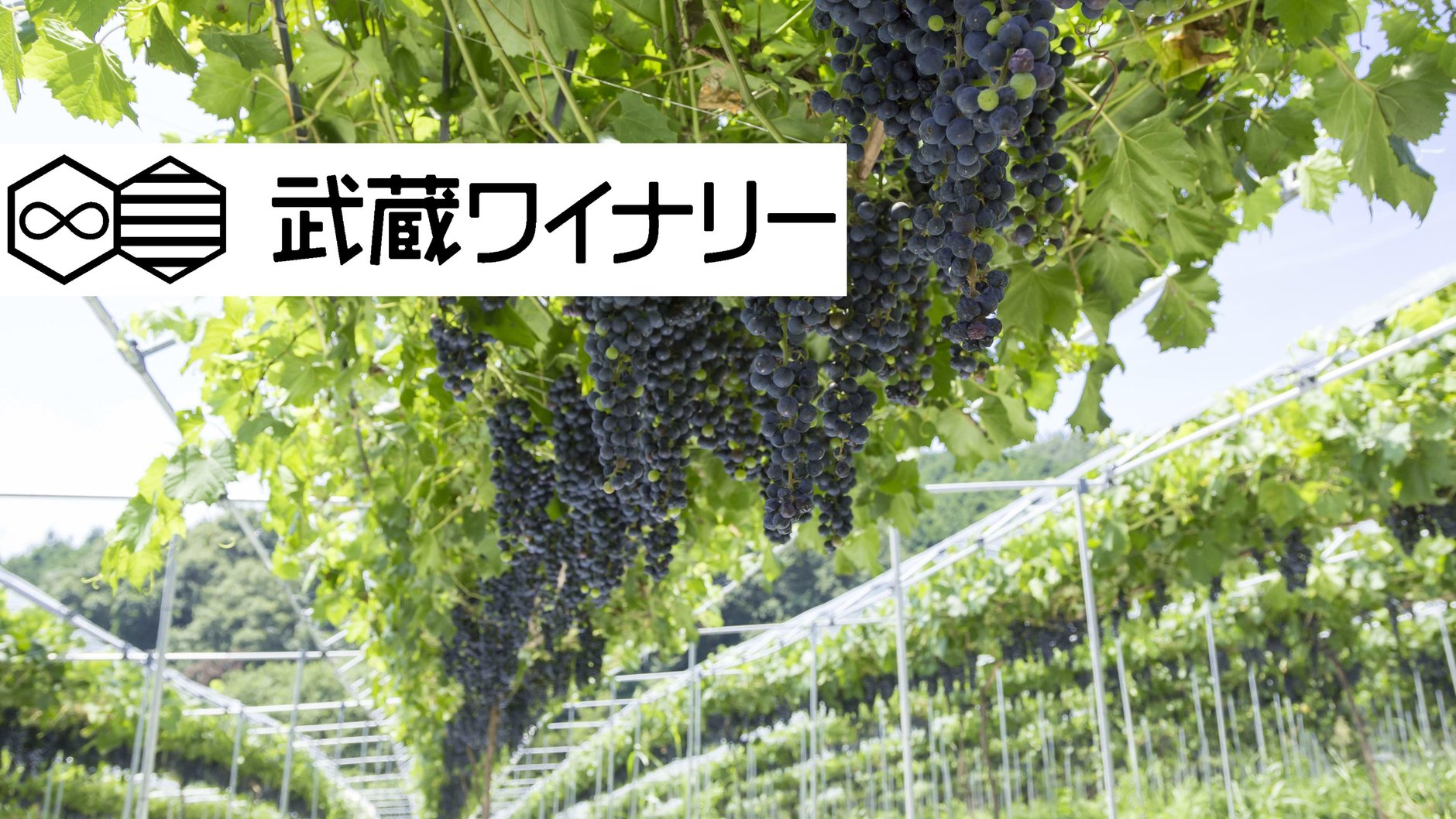 武蔵ワイナリー