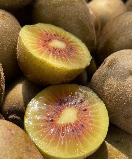 Kiwi2024