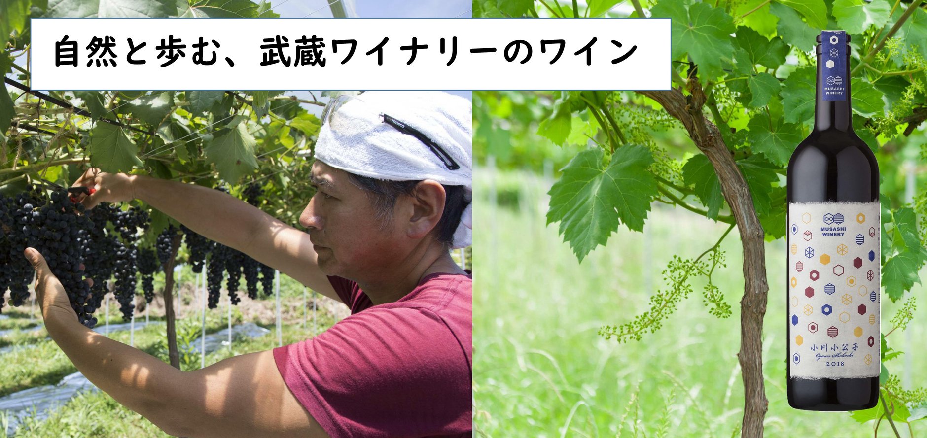 武蔵ワイナリー