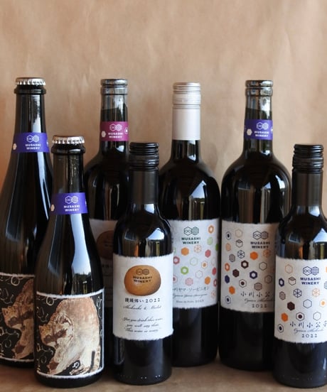 年末年始の手土産ご挨拶に☆ワインまとめ買いセット(手提げ袋・熨斗