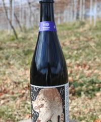 KANPAI 2024 フルボトル 750ml