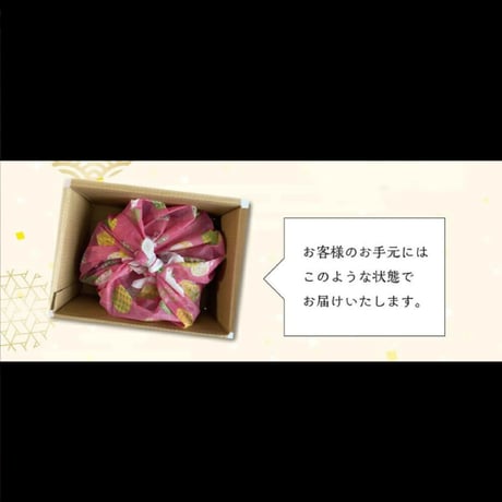 松阪牛ホルモン5種盛り（250g）