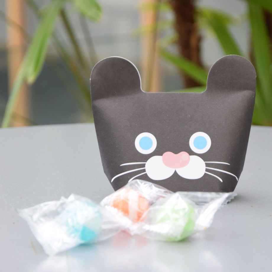 アニマルマチプチパック（黒猫柄・小・3枚セット、送料込） | KOWAZA