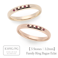 ファミリーリング（Bague Eclat-バーグ エクラ）|大切な絆を誕生石で紡ぐ指輪【5石-選べる誕生石】｜3.2mm幅｜K10YG/K10PG【選べる素材】