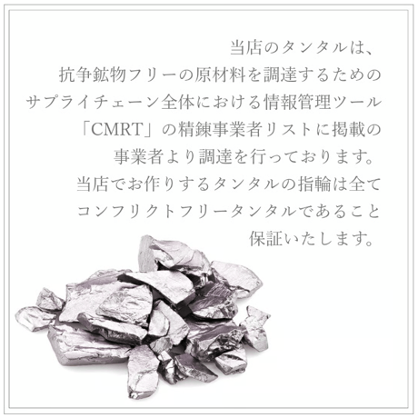 タンタルのリング｜大切な絆を誕生石で紡ぐ指輪【2石-選べる誕生石】｜2.8mm幅｜Family Ring Bague Eclat（ファミリーリング・バーグ エクラ）｜Artisan Works