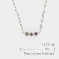 大切な人の宝石を紡ぐネックレス【選べる誕生石-3石-】｜サージカルステンレス（金アレ対応素材）｜Family Necklace（ファミリーネックレス）｜Artisan Works