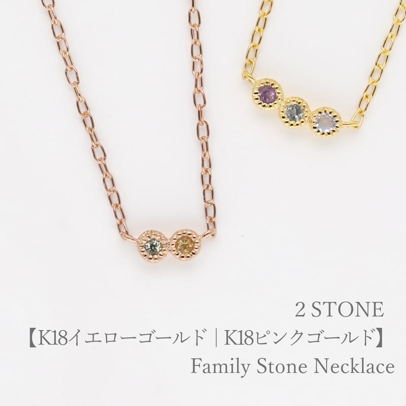 大切な人の宝石を紡ぐ【2石】-Family Necklace（ファミリーネックレス 