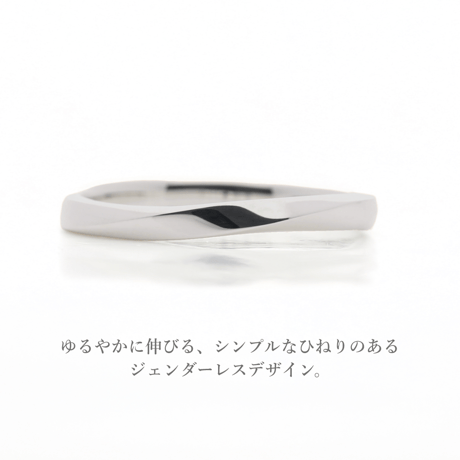 ファミリーリング（Carus Intus-カルス・インタス）｜〈想いを包む内石タイプ〉選べる誕生石4石｜サージカルステンレス （金アレ対応素材）｜Artisan Works