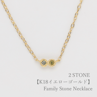 大切な人の宝石を紡ぐネックレス【選べる誕生石-2石-】｜K18イエローゴールド｜Family Necklace（ファミリーネックレス）｜Artisan Works