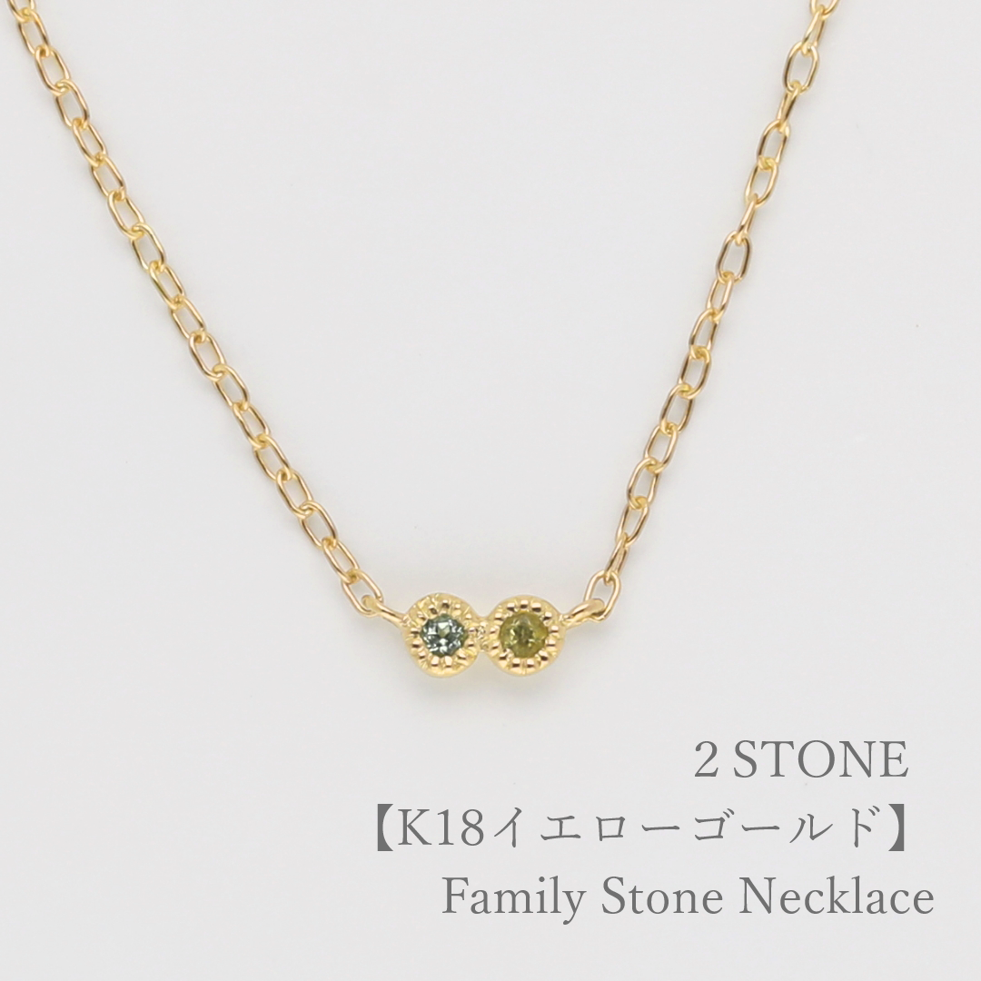 K18YG ゴールドネックレス ファミリーゴールド 大切な人の宝石を紡ぐ【2石】-Family Necklace（ファミリー