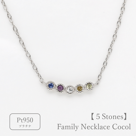 大切な人の宝石を紡ぐネックレス【選べる誕生石-5石-】｜プラチナ950｜Family Necklace（ファミリーネックレス）｜Artisan Works