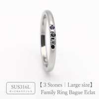 ファミリーリング（Bague Eclat-バーグ エクラ）|大切な絆を誕生石で紡ぐ指輪【3石-選べる誕生石とリング幅】｜21号以上｜サージカルステンレス （金アレ対応素材）