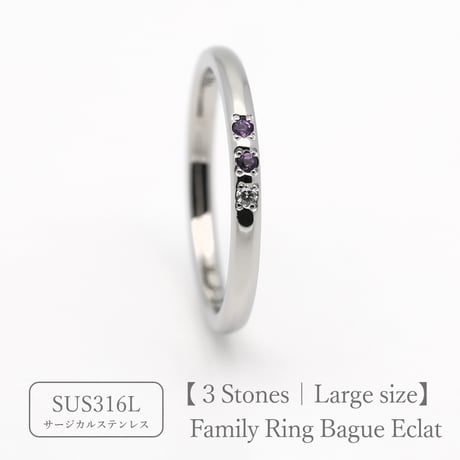 ファミリーリング（Bague Eclat-バーグ エクラ）|大切な絆を誕生石で紡ぐ指輪【3石-選べる誕生石とリング幅】｜21号以上｜サージカルステンレス （金アレ対応素材）